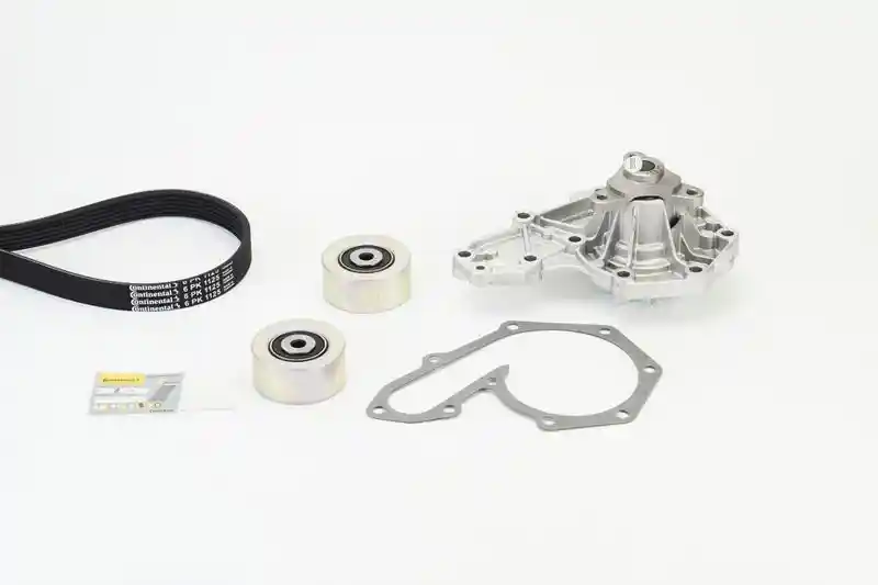 CONTINENTAL CTAM 6PK1125WP1