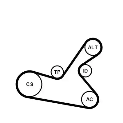 CONTINENTAL CTAM 6PK1125WP1