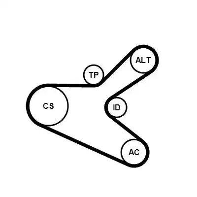CONTINENTAL CTAM 6PK1153K2