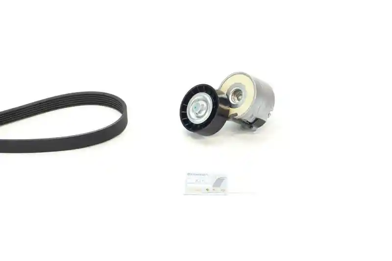 CONTINENTAL CTAM 6PK1165K4