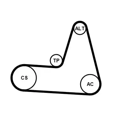 CONTINENTAL CTAM 6PK1173K3