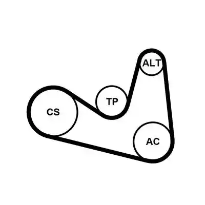 CONTINENTAL CTAM 6PK1180D1