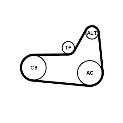CONTINENTAL CTAM 6PK1180K4