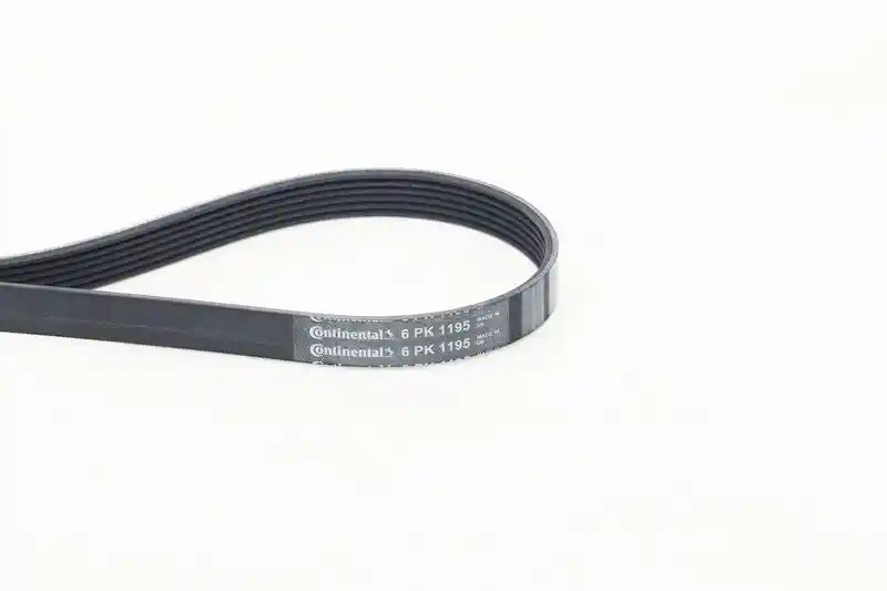 CONTINENTAL CTAM 6PK1195