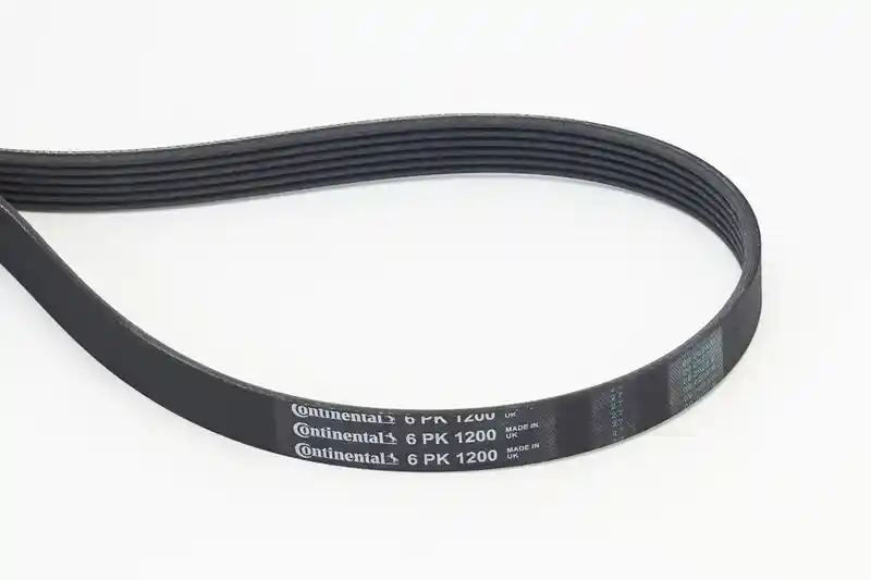 CONTINENTAL CTAM 6PK1200 CONTINENTAL CTAM 6PK1200