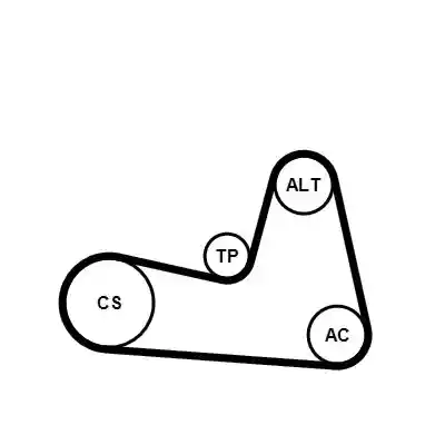 CONTINENTAL CTAM 6PK1200K2