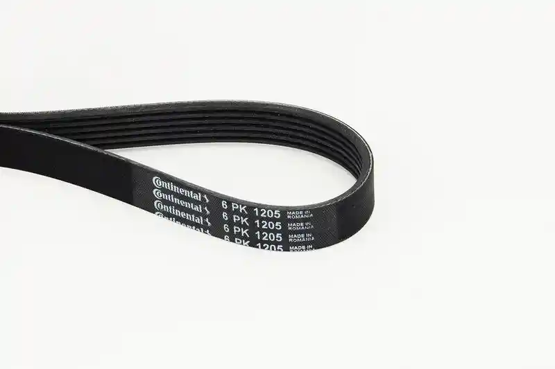 CONTINENTAL CTAM 6PK1205