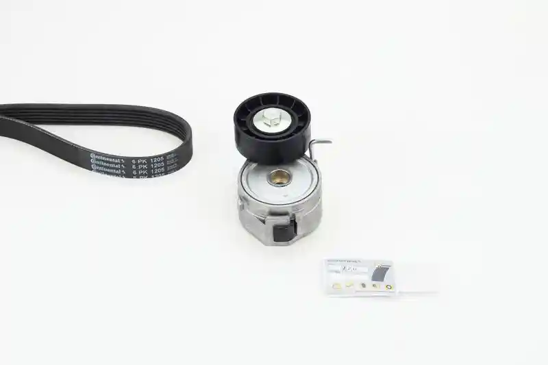 CONTINENTAL CTAM 6PK1205K3