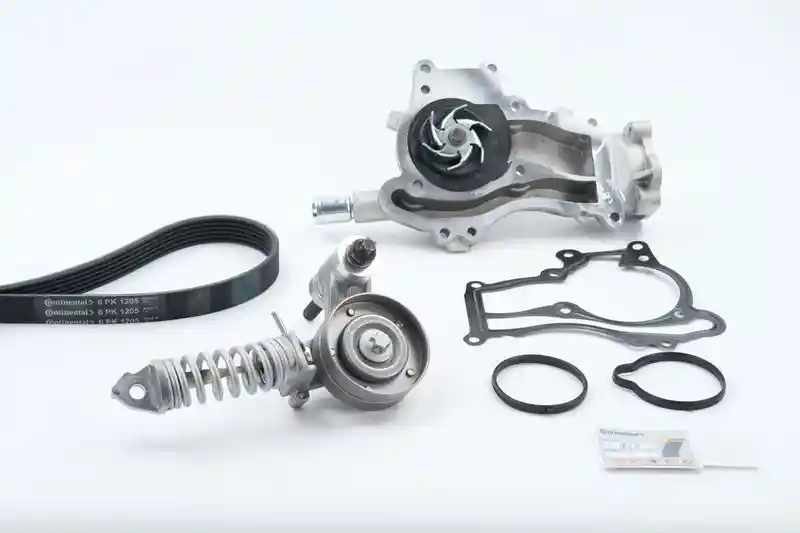 CONTINENTAL CTAM 6PK1205WP1