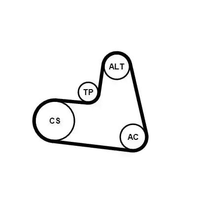 CONTINENTAL CTAM 6PK1217K1