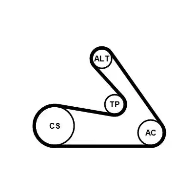 CONTINENTAL CTAM 6PK1244K1