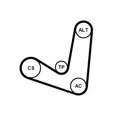 CONTINENTAL CTAM 6PK1244K2