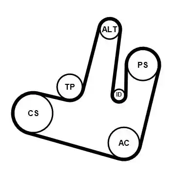 CONTINENTAL CTAM 6PK1264K1
