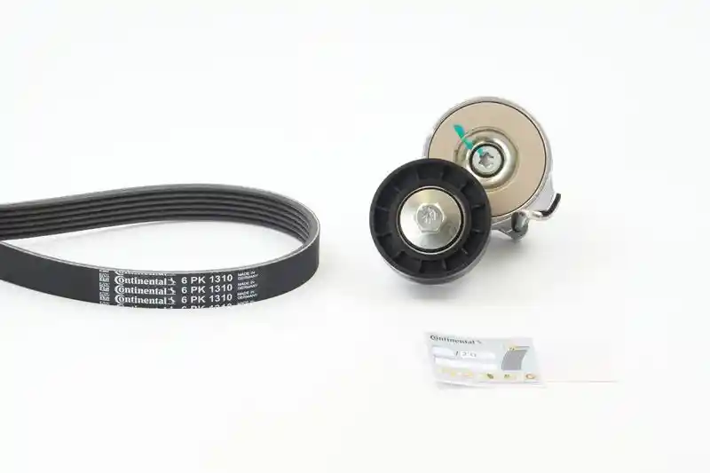 CONTINENTAL CTAM 6PK1310K1