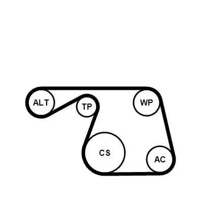 CONTINENTAL CTAM 6PK1310K1