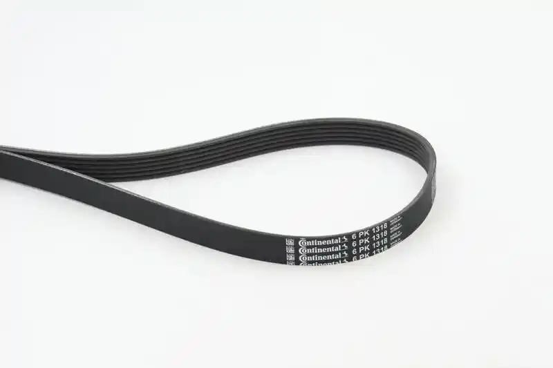 CONTINENTAL CTAM 6PK1318