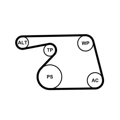 CONTINENTAL CTAM 6PK1318WP1