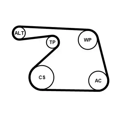 CONTINENTAL CTAM 6PK1325K1
