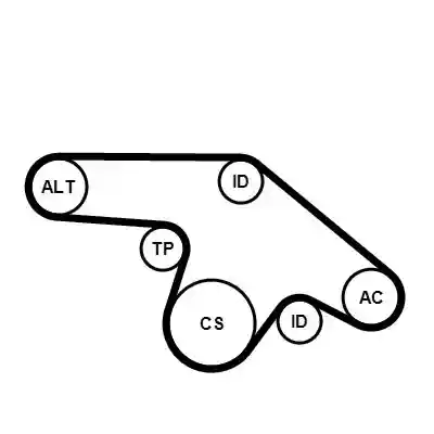 CONTINENTAL CTAM 6PK1370K1