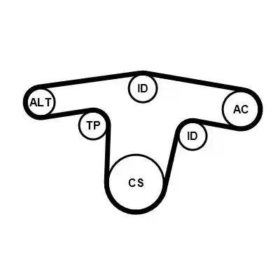 CONTINENTAL CTAM 6PK1413K2