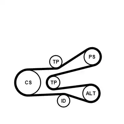 CONTINENTAL CTAM 6PK1440K1