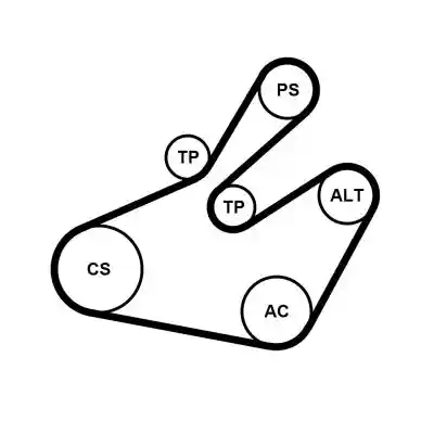 CONTINENTAL CTAM 6PK1468K1