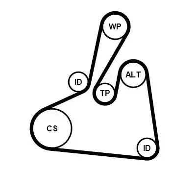 CONTINENTAL CTAM 6PK1502 EXTRA K2