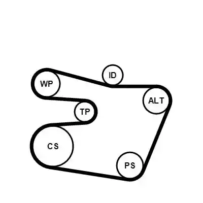 CONTINENTAL CTAM 6PK1538K1