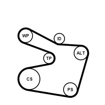 CONTINENTAL CTAM 6PK1538WP2