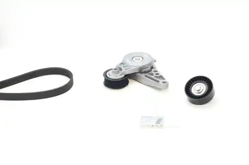 CONTINENTAL CTAM 6PK1555K10