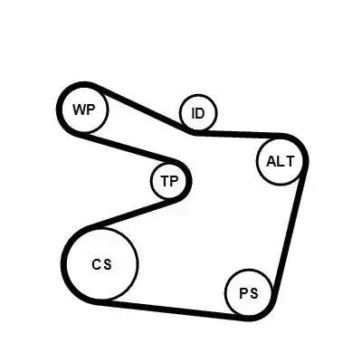 CONTINENTAL CTAM 6PK1555WP1