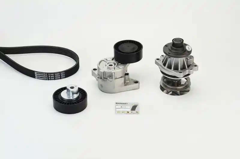 CONTINENTAL CTAM 6PK1555WP2