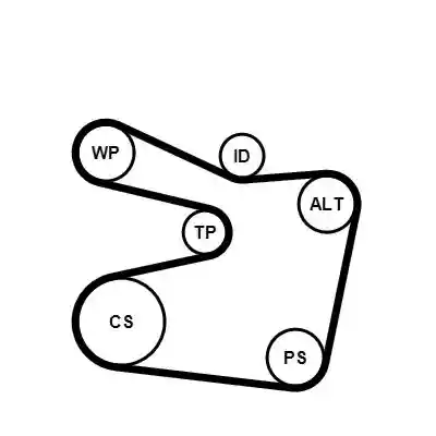 CONTINENTAL CTAM 6PK1555WP2