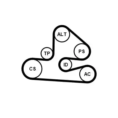 CONTINENTAL CTAM 6PK1570K1