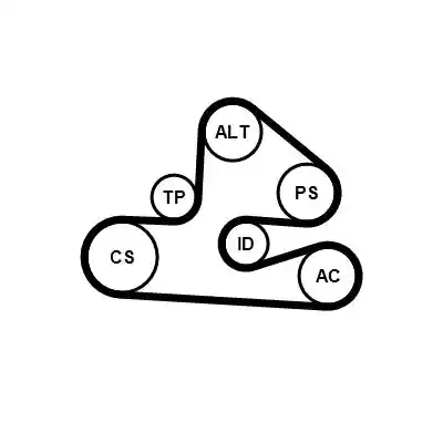 CONTINENTAL CTAM 6PK1590K1