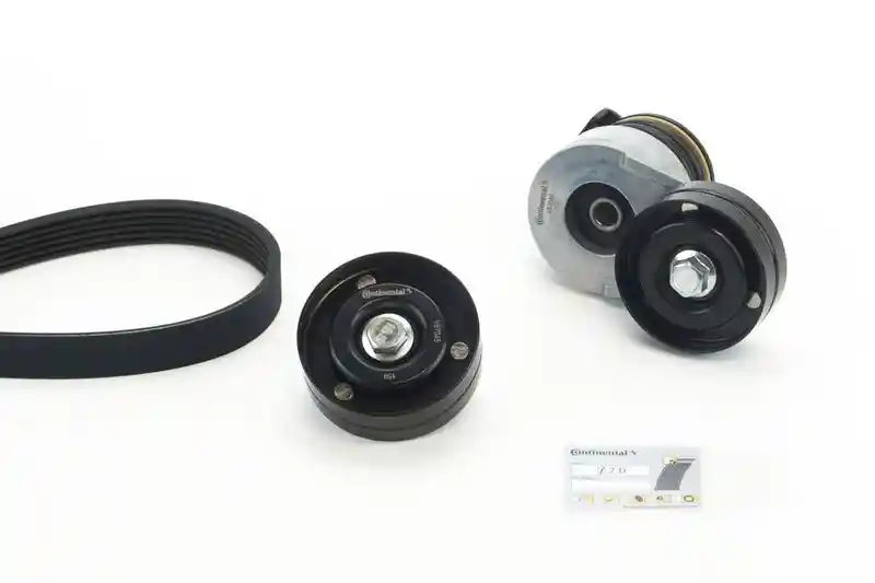 CONTINENTAL CTAM 6PK1590K2