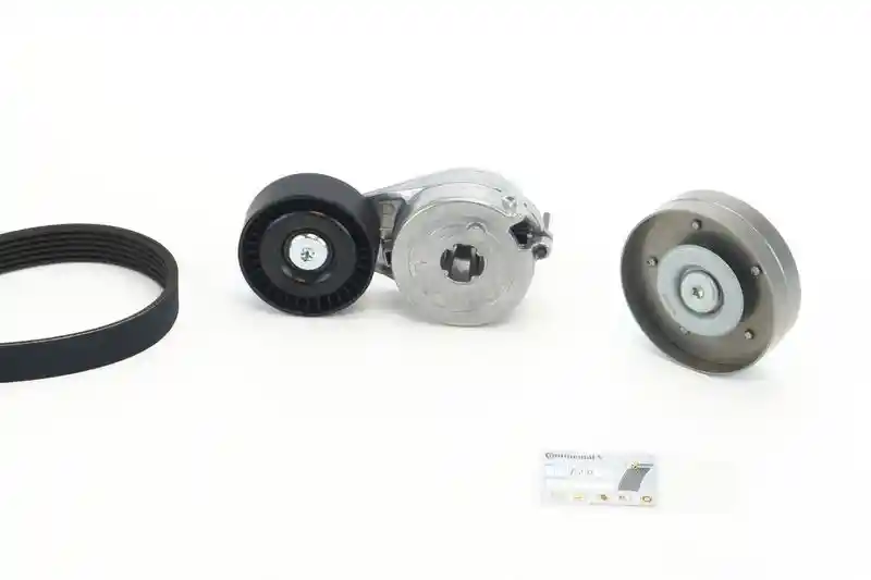 CONTINENTAL CTAM 6PK1590K3