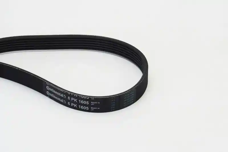 CONTINENTAL CTAM 6PK1605