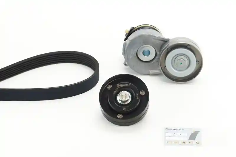 CONTINENTAL CTAM 6PK1605K2