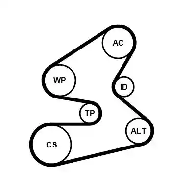 CONTINENTAL CTAM 6PK1605K2