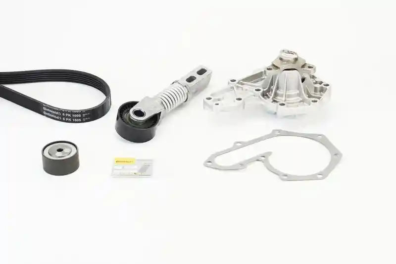 CONTINENTAL CTAM 6PK1605WP1