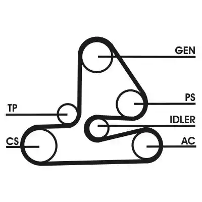 CONTINENTAL CTAM 6PK1613D1