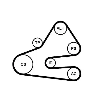 CONTINENTAL CTAM 6PK1613K1