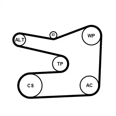 CONTINENTAL CTAM 6PK1635K1