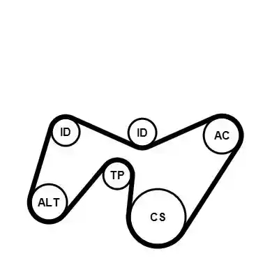 CONTINENTAL CTAM 6PK1642K2