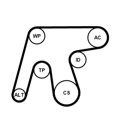 CONTINENTAL CTAM 6PK1642WP3