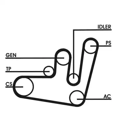 CONTINENTAL CTAM 6PK1660D1