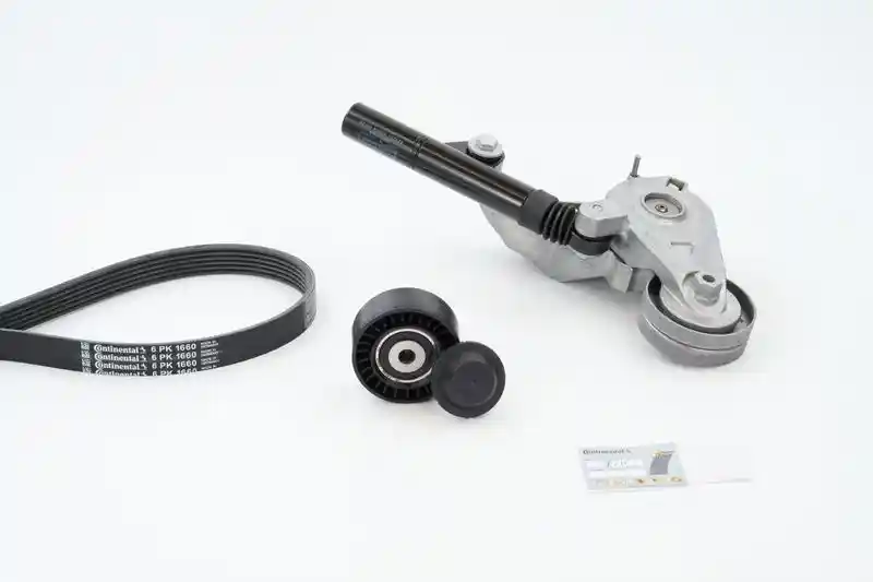 CONTINENTAL CTAM 6PK1660K1