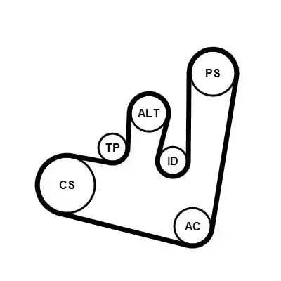 CONTINENTAL CTAM 6PK1660K1