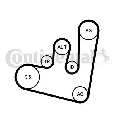 CONTINENTAL CTAM 6PK1660K2